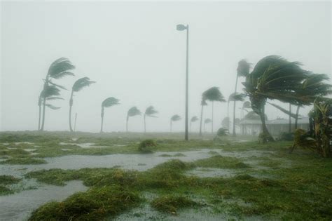 gale meaning.